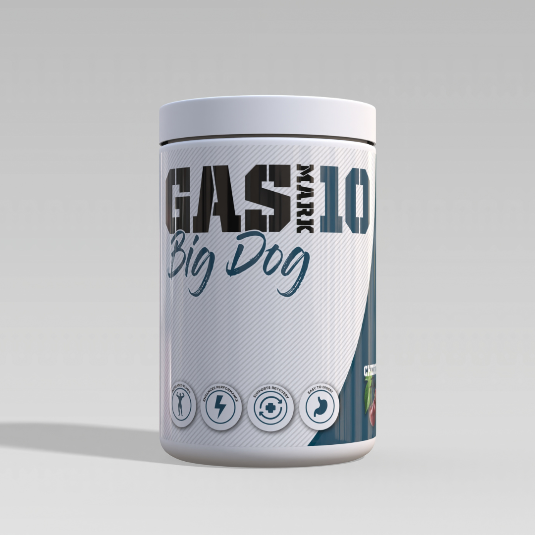 Big Dog